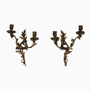Louis XV Golden Bronze Candleholders, Set of 2