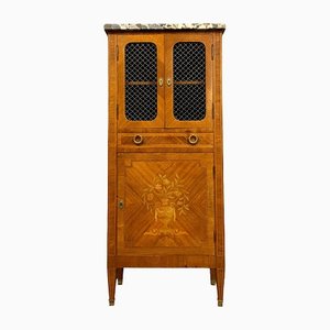 Louis XVI Living Room Cabinet in Marquetry, 1850