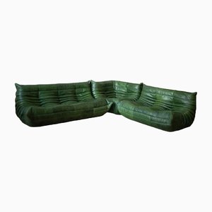 Grünes Togo Wohnzimmer Sofa und Stühle aus Leder von Michel Ducaroy für Ligne Roset, 1970er, 3er Set