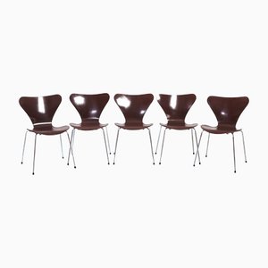 Brown Stackable Butterfly 7 Series 3107 Chairs by Arne Jacobsen for Fritz Hansen, Set of 5