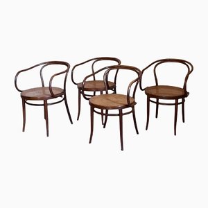 Bentwood & Rattan No. 209 Armchairs from Ligna, 1970s, Set of 4