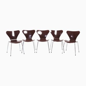 Brown Butterfly 3107 7 Series Chairs from Fritz Hansen, 1960s, Set of 5