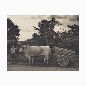 Hanna Seidel, Costa Rica, años 60, Fotografía en blanco y negro