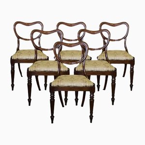 Late Regency Rosewood Dining Chairs, Set of 6