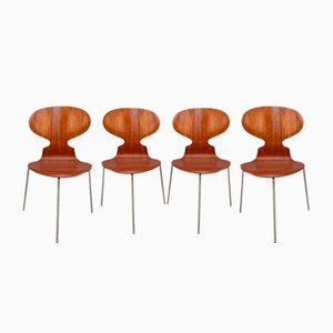 Chaises Ant Vintage par Arne Jacobsen, Set de 4