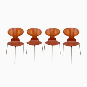 Sillas Ant vintage de Arne Jacobsen. Juego de 4