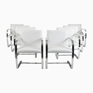 Brno Dining Chairs by Knoll Peter from Knoll Inc. / Knoll International, 2000, Set of 8