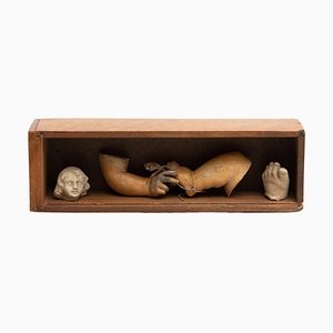 Olot Atelier, Cabinet of Curiosities Skulptur, 1950, Gips & Holz