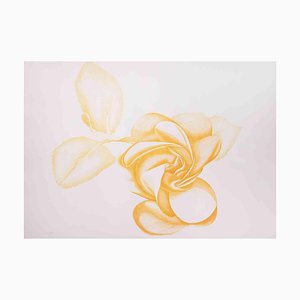 Giacomo Porzano, Yellow Rose, 1970s, Etching