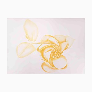 Giacomo Porzano, Yellow Rose, años 70, Grabado