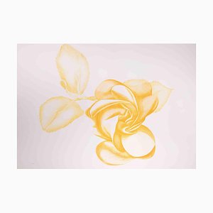 Giacomo Porzano, Yellow Rose, 1970s, Etching