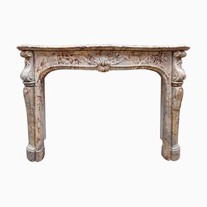 19th Century Louis XIV Sarrancolin Marble Fireplace with Trois Coquille Decoration