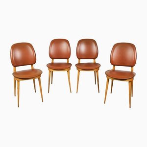 Pegasus Dining Chairs from Baumann, 1960s, Set of 4