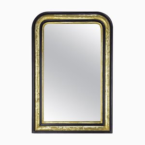 French Louis Philippe Stucco Imitation Wood and Gilding Mirror, 1870s