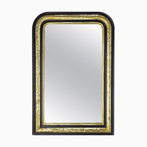 Miroir Louis Philippe en Imitation Bois et Dorures, France, 1870s