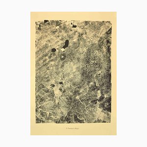 Jean Dubuffet, Fletrissure Allegre, Original Lithographie, 1959