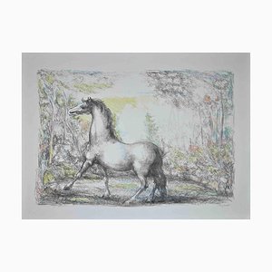 Domenico Purificato, Horse, Original Lithograph, 1970s