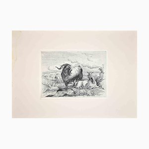 After Charles Coleman, Goats in the Roman Countryside, Reproduction Etching, 1992