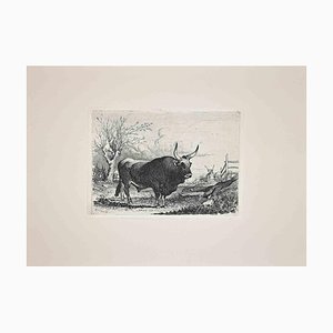 After Charles Coleman, The Bull in Roman Countryside, Original Etching, 1992