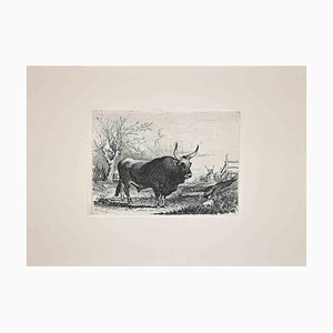 Después de Charles Coleman, The Bull in Roman Countryside, Grabado original, 1992