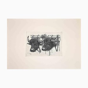 After Charles Coleman, The Bulls in the Roman Countryside, Etching, 1992