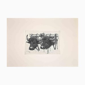 Nach Charles Coleman, The Bulls in the Roman Countryside, Etching, 1992