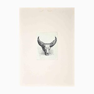 Nach Charles Coleman, The Bull's Skull, Original Radierung, 1992