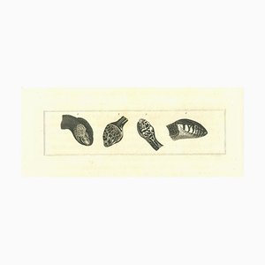 Thomas Holloway, The Physiognomy: The Snakes, Original Etching, 1810
