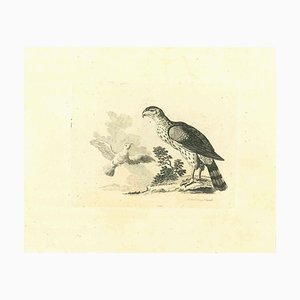 Acquaforte originale di Thomas Holloway, The Birds, 1810