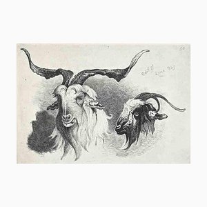 After Charles Coleman, Antelope in the Roman Countryside, Original Etching, 1992