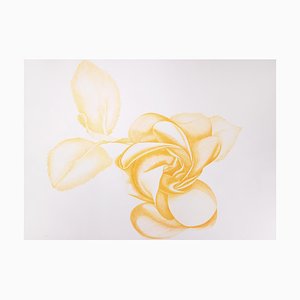 Giacomo Porzano, Yellow Rose, Grabado original, 1972