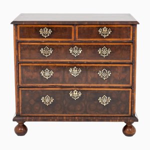 Commode à Tiroirs Queen Anne avec Oyster Laburnum, 17ème Siècle