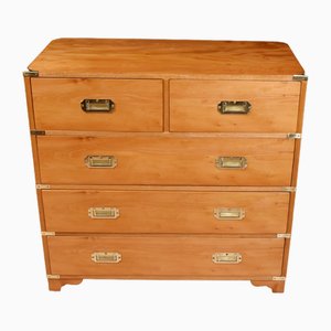 Campaign Chest of Drawers in Walnut