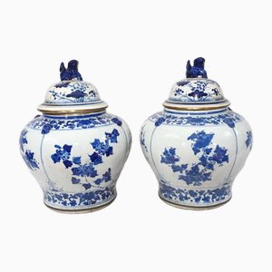 Pots de Temple en Porcelaine de Nankin en Bleu et Blanc