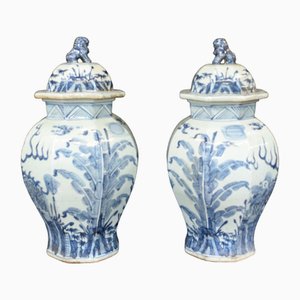 Blue and White Porcelain Temple Jars with Ming Foo Dogs, Set of 2