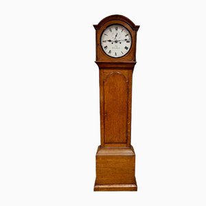 Small Golden Longcase Clock in Oak