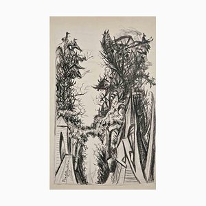 Pino della Selva, Trees, Original Charcoal Drawing, Early 20th Century