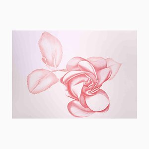 Giacomo Porzano, Red Rose, Original Etching, 1970s