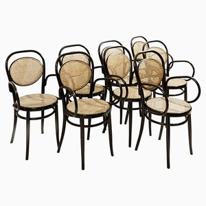 Model Nr. 15 Armchairs in Black Wood and Cane from Thonet, 1900s, Set of 8