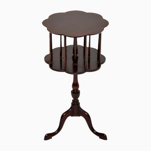 Edwardian Revolving Bird Cage Side Table, 1890s