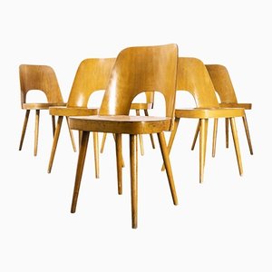 Honey Beech Model 515 Side Chairs attributed to Oswald Haerdtl, 1950s, Set of 6