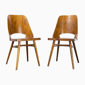 Honey Beech Dining Chairs by Radomir Hoffman, 1950s, Set of 2