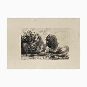 Rodolphe Piguet, paisaje, aguafuerte original, 1875