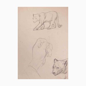 Norbert Meyre, Felines, Drawing in Pencil, Early 20th Century