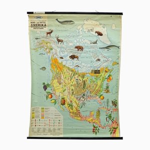 North America Land Use and Livestock Picture Map, 1970s