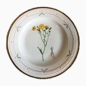 Flora Danica #735/3549 Dinner Plate from Royal Copenhagen, 1936