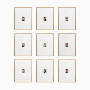 David Urbano, The Rose Garden, 2017, Photographic Giclee Prints, Framed, Set of 9