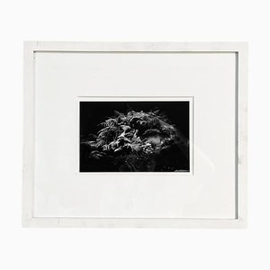 Stampa fotografica in bianco e nero di Masao Yamamoto, Flow, 2009