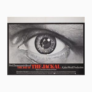 Poster del film The Day of the Jackal di Leonard, 1973
