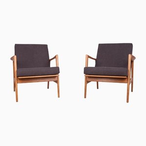 Model 300-139 Armchairs from Swarzędzka Furniture Factory, 1960s, Set of 2, Set of 2